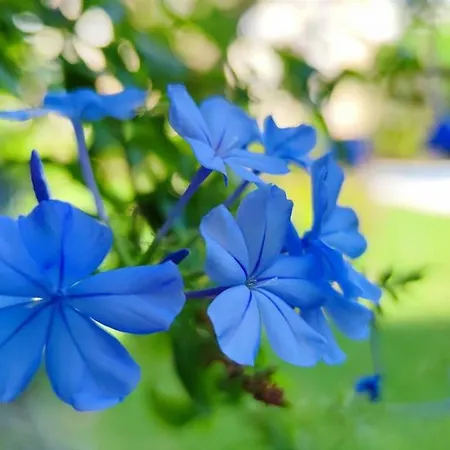 Zephyrus By Costa Apartment Denia